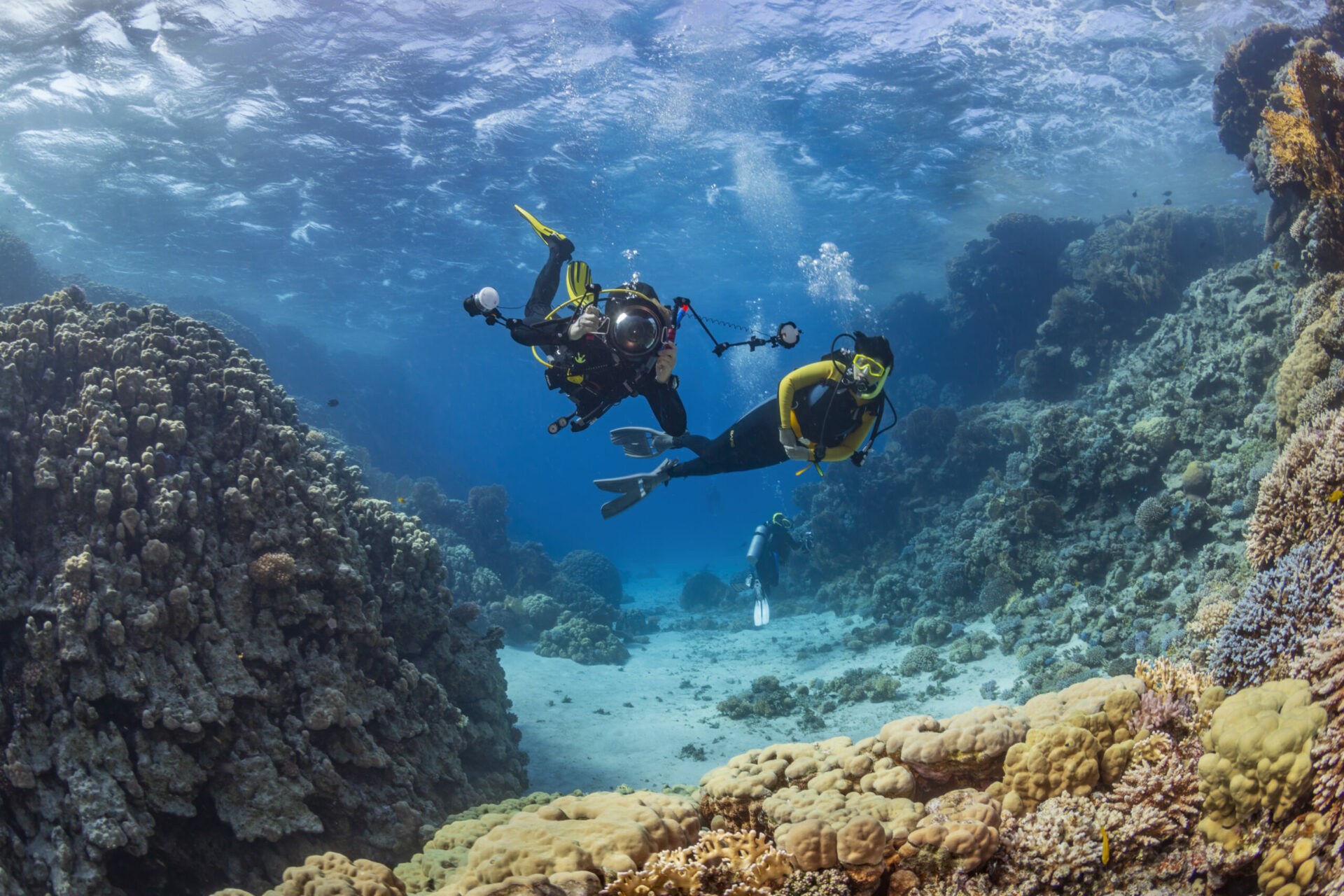tre persone durante un'immersione subacquea in acque cristalline