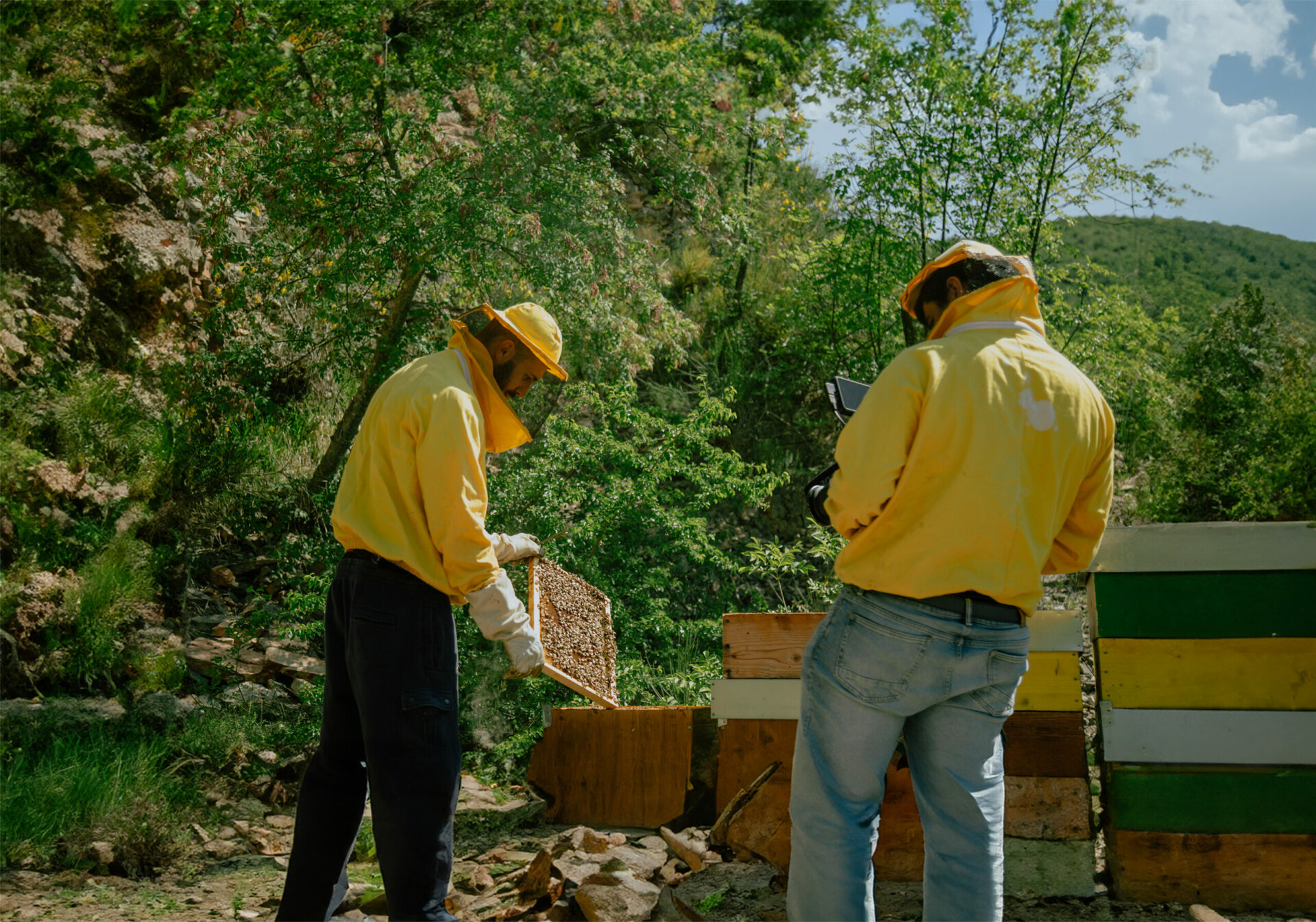 Beekeeping Marche