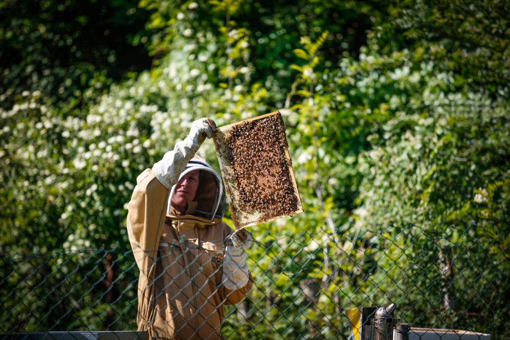 2 Lire Di Foie Gras In Acciaio Inox Da 10 Cm | Leroy Merlin - Foto 2