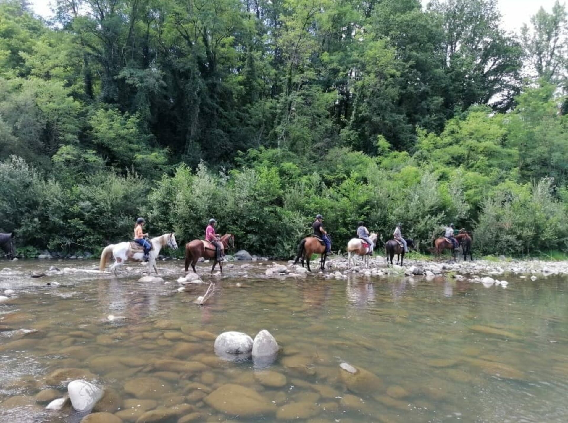 Passeggiate a cavallo Garfagnana