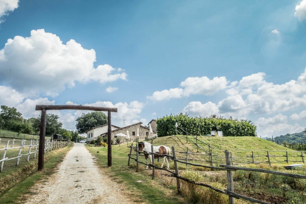 agriturismo per passeggiate a cavallo a perugia