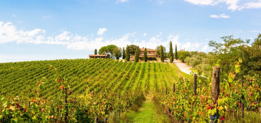 Paesaggio del Chianti