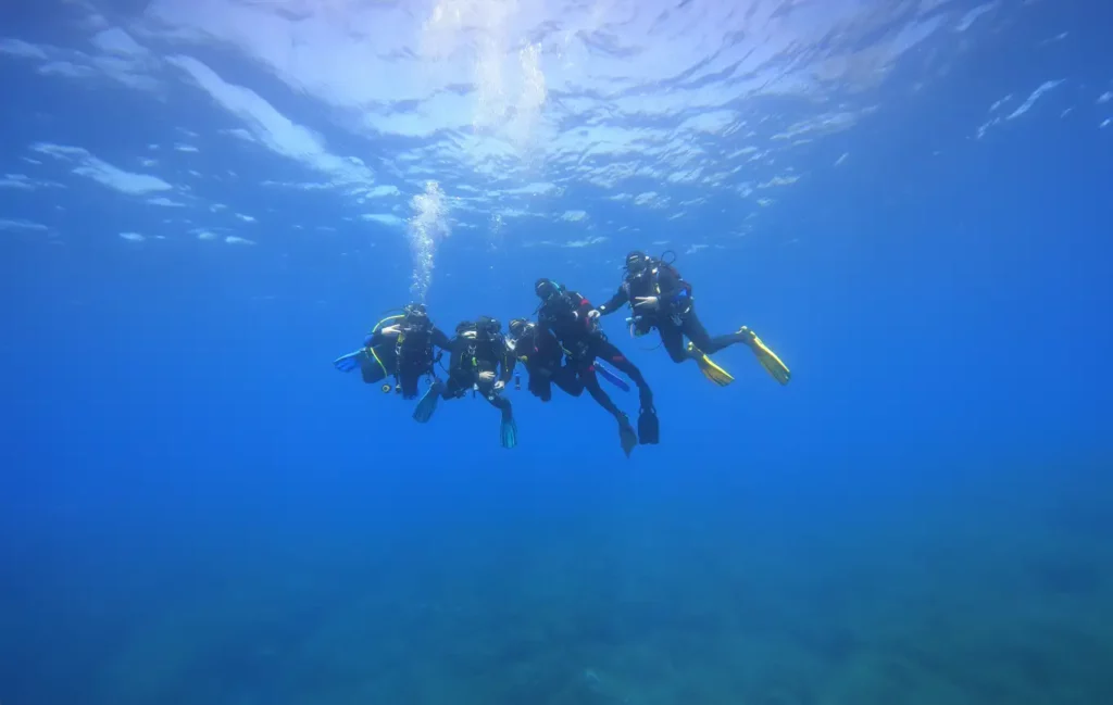 immersione subacquea a Marettimo