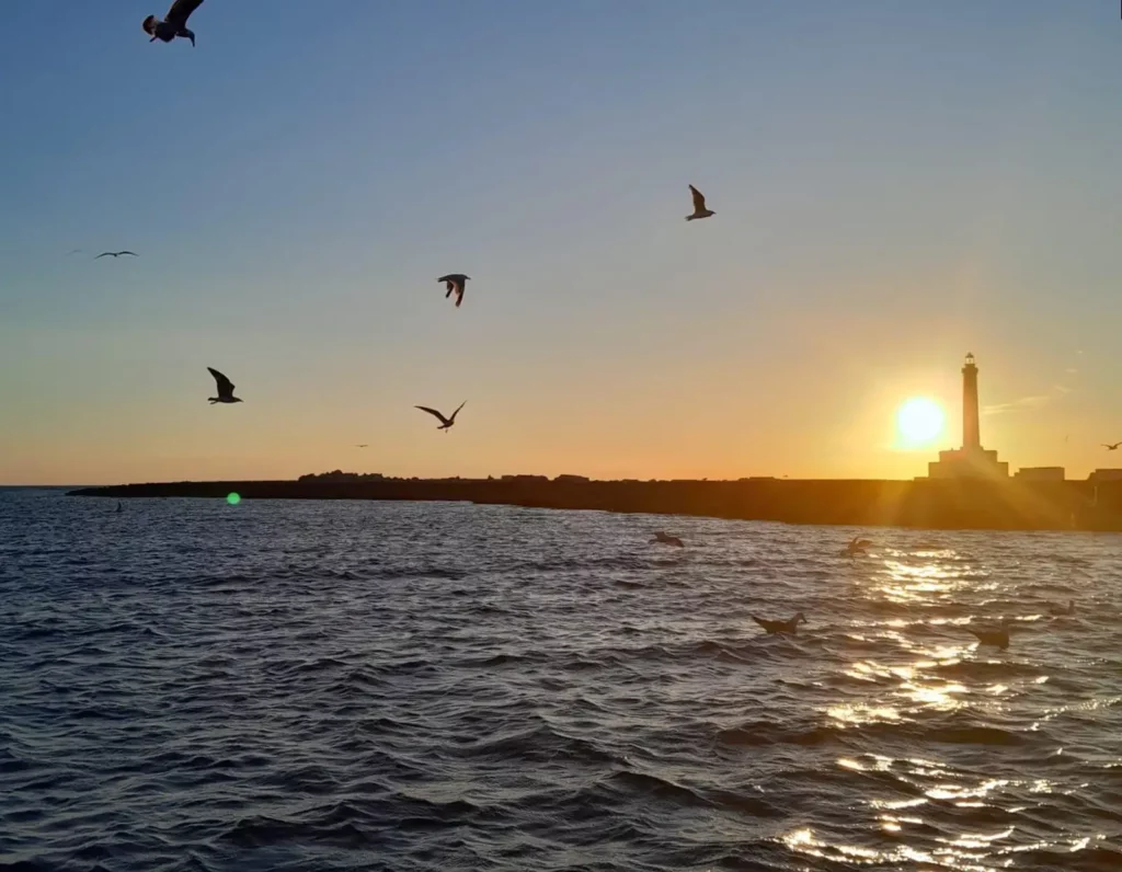 panorama marittimo di Gallipoli