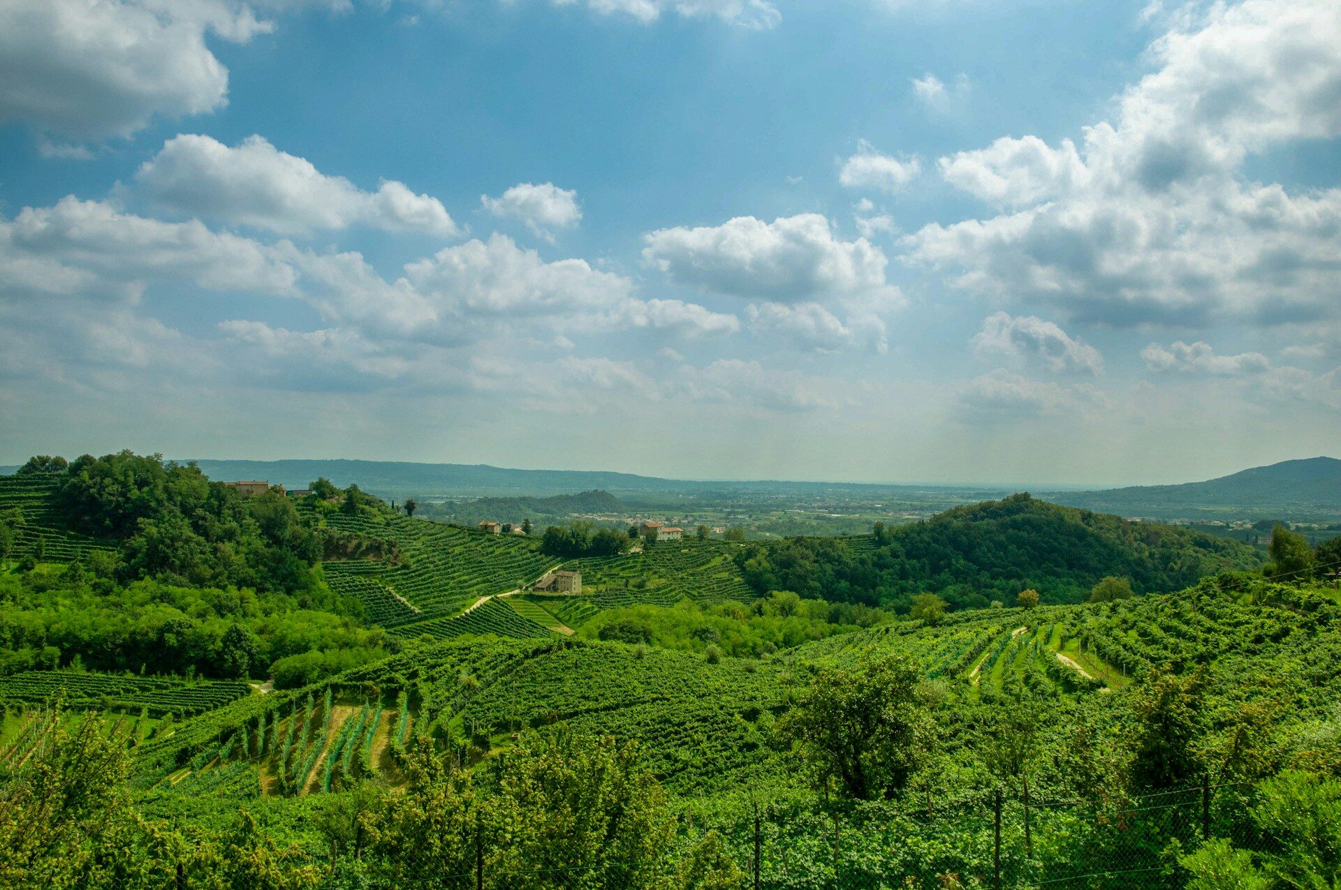 Paesaggio delle colline del Prosecco e Valdobbiadene