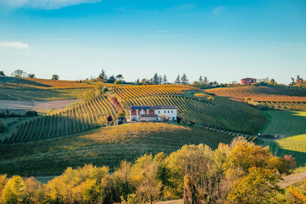 colline del Monferrato in autunno