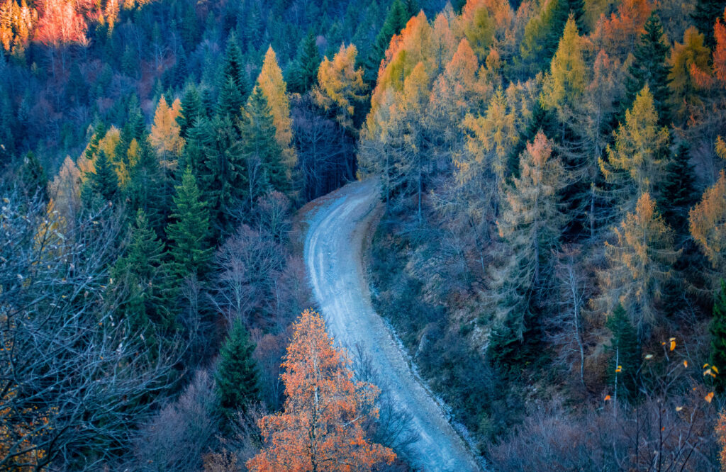 veduta di una strada dall'alto in Oasi Zegna