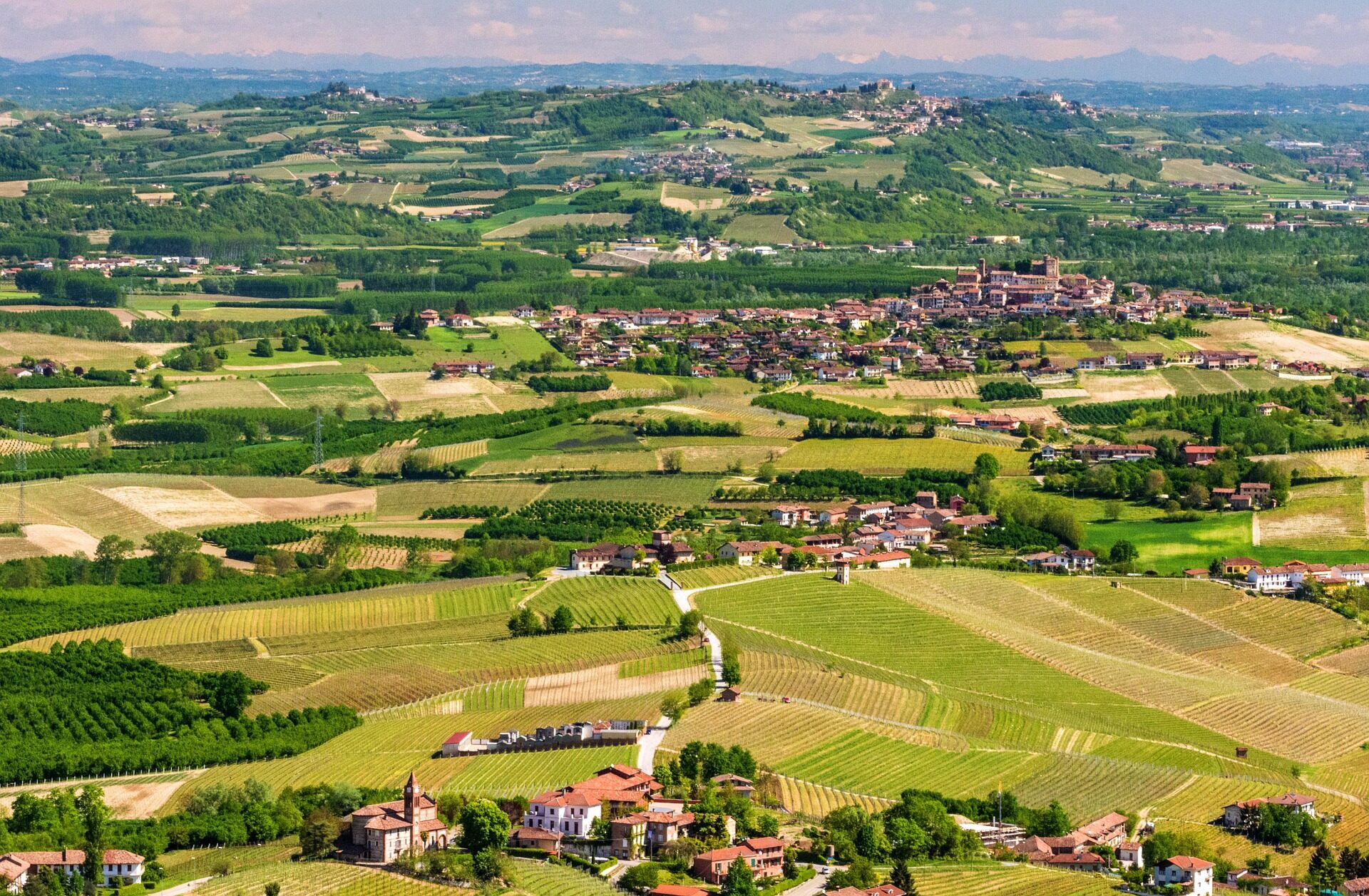 Paesaggio delle Langhe