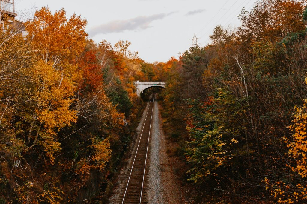 binario del treno immerso nel foliage