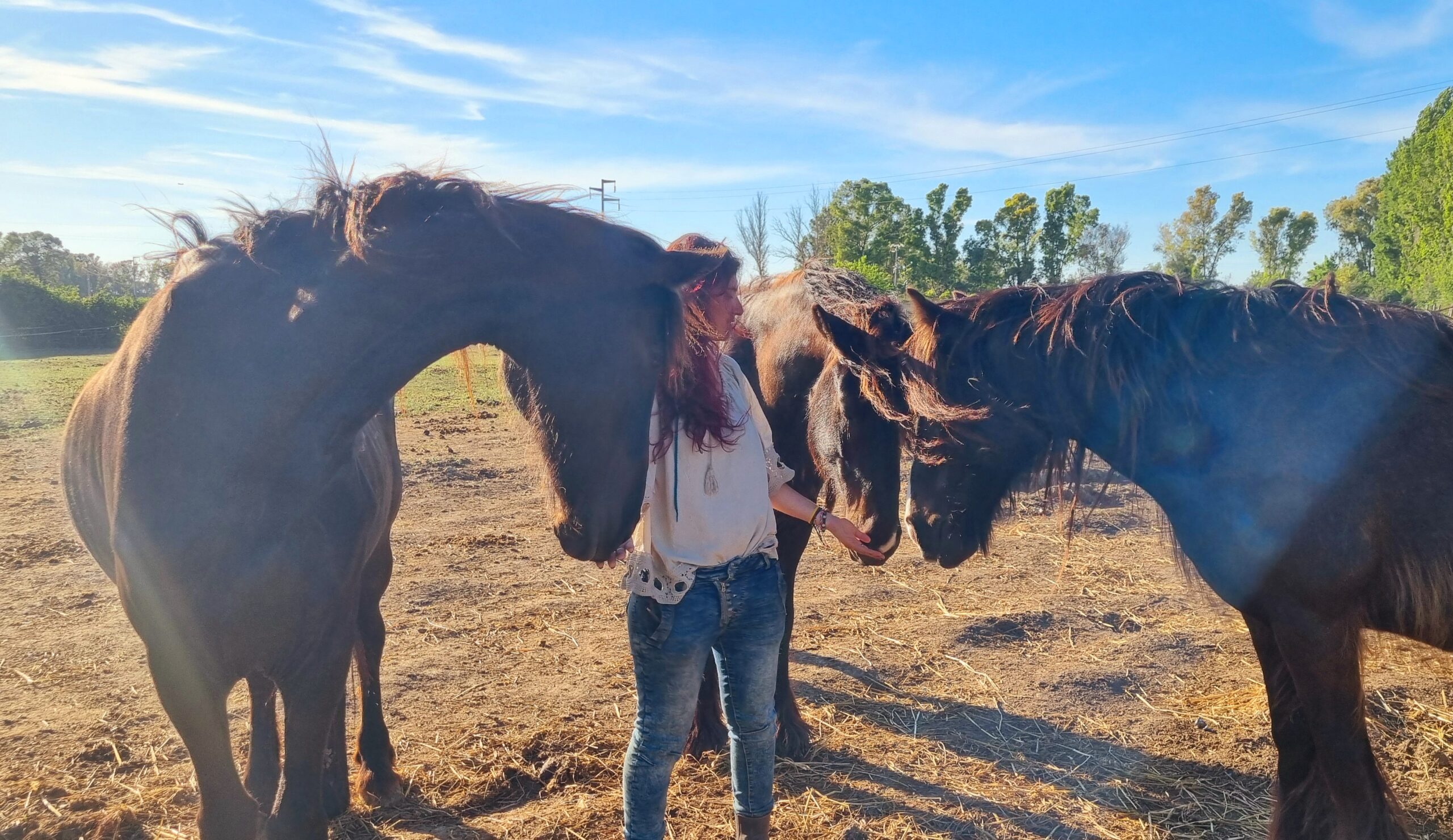 Activities with animals Rome | Starting from €12 | Freedome