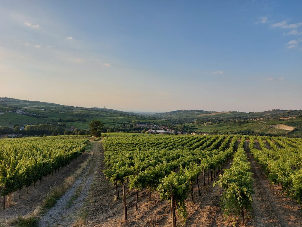 paesaggio dell'Oltrepò Pavese