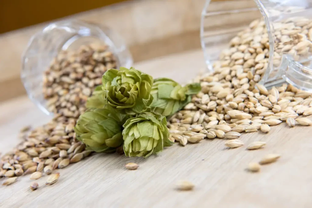 Ingredienti della birra artigianale per degustazioni: luppolo in coni e malto d’orzo in grani su tavolo di legno