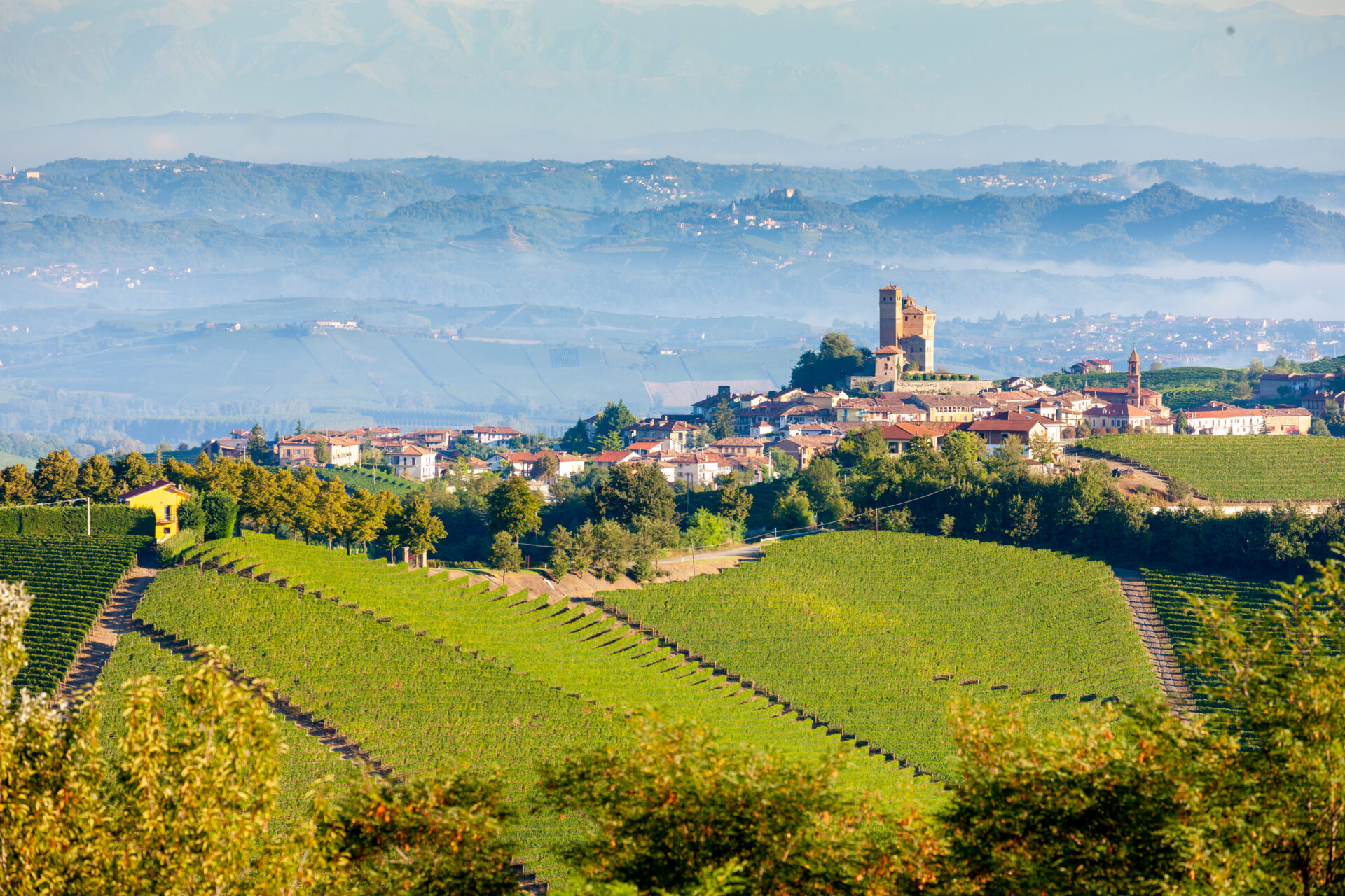 Panorama di vigneti sulle colline del Piemonte con borgo storico su un crinale e montagne sfumate sullo sfondo.