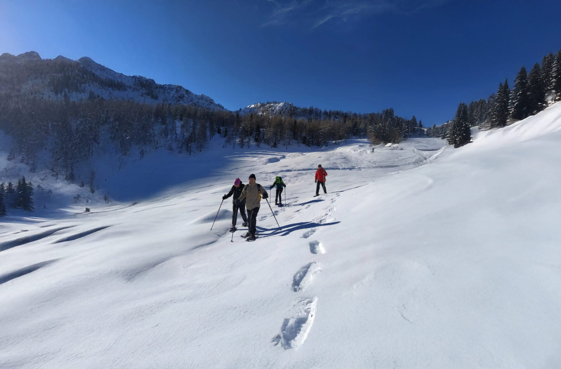 Ciaspolata a Montecampione in inverno, escursione sulla neve fresca tra boschi e pendii panoramici
