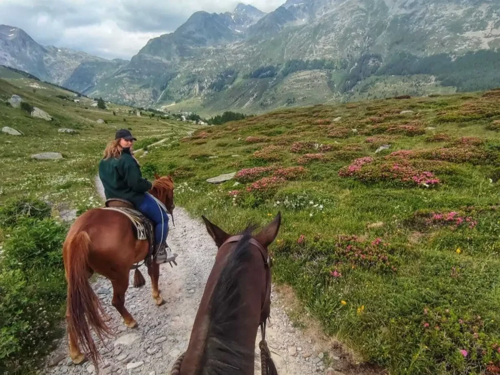 Passeggiata a cavallo a Madesimo in estate, escursione su sentiero panoramico tra prati in fiore e montagne