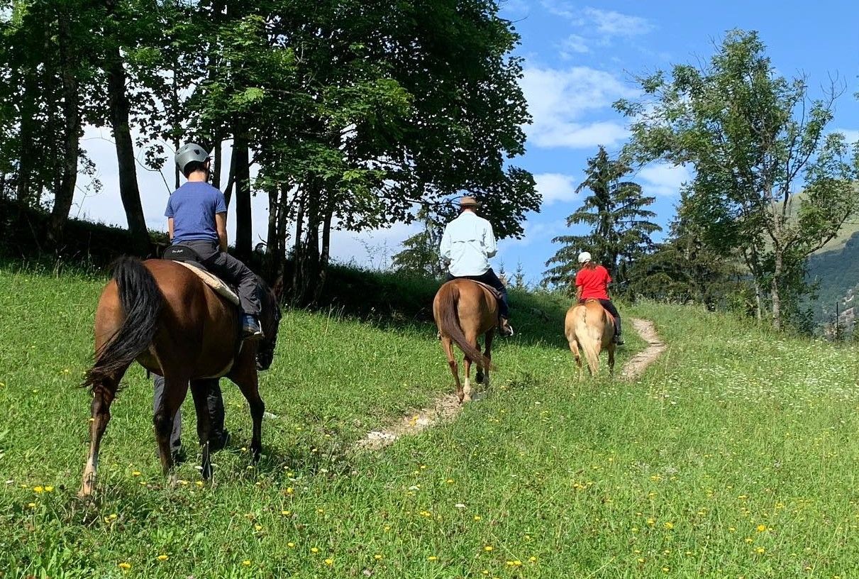 Freedonel Tasting experiences Piedmont | Book or gift online | Freedome