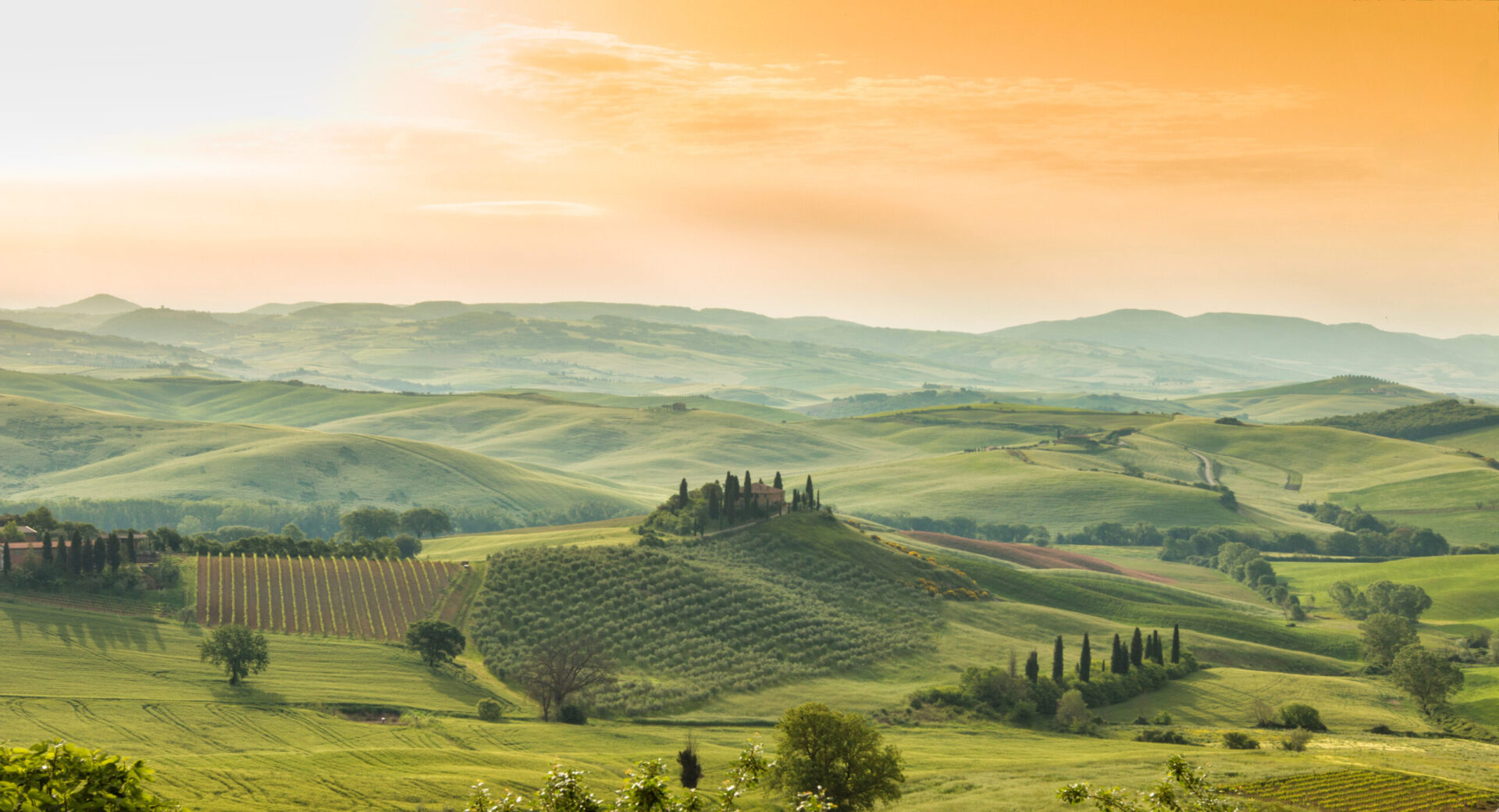 Paesaggio della Toscana con dolci colline verdi al tramonto e filari di cipressi su un poggio.