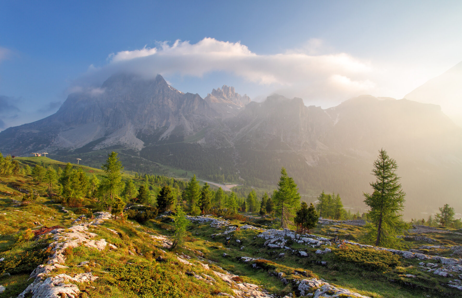 Panorama alpino in Trentino con prati e boschi di conifere, sentiero tra le rocce e alte montagne illuminate dal sole sullo sfondo