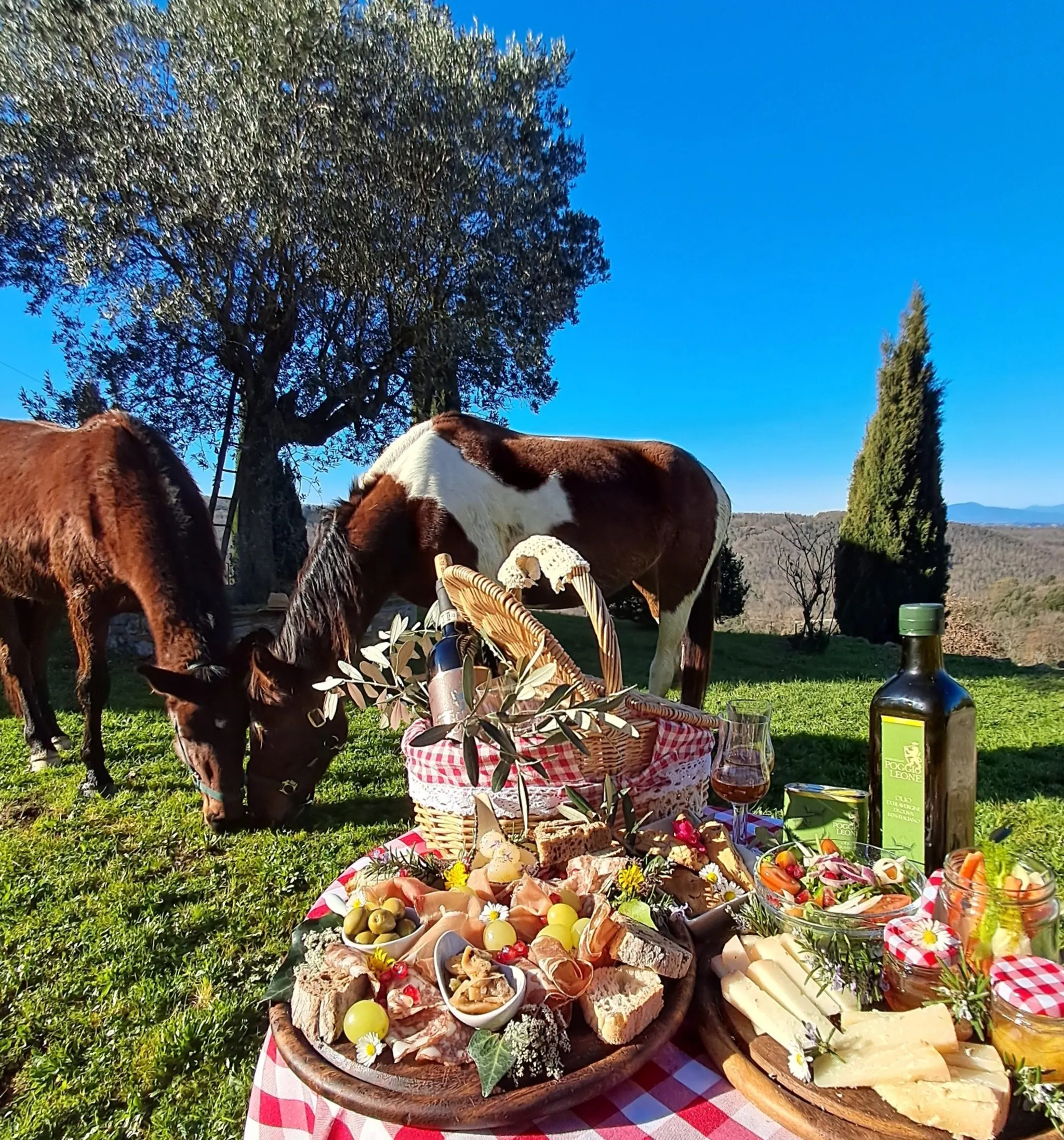 Freedonel Picnic Chianti | Starting from €80 | Freedome