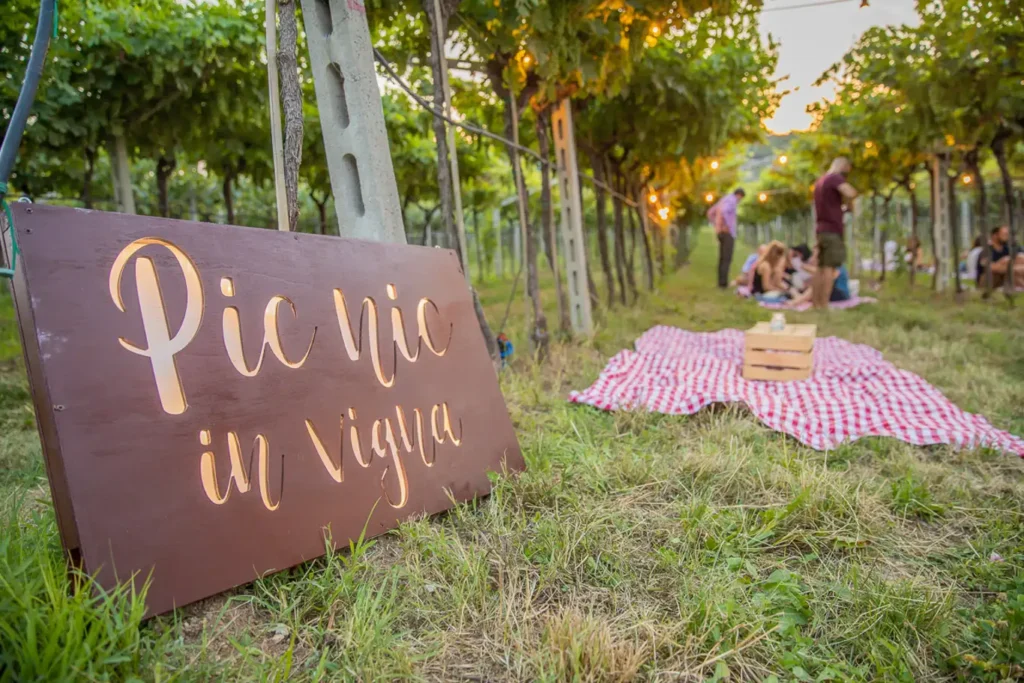 picnic in vigna in Valpolicella