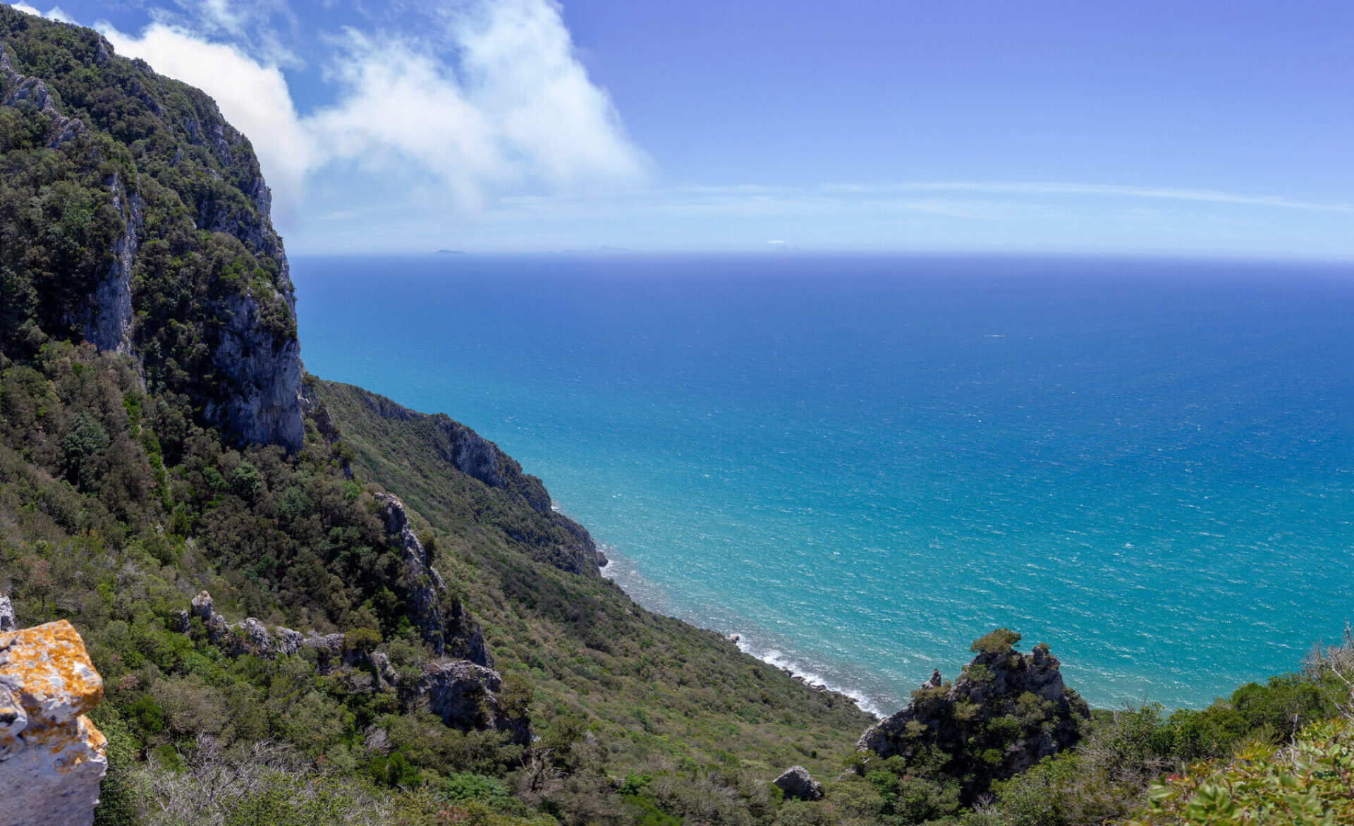 Vista panoramica dal Monte Circeo verso il mare, con la costa laziale e la fitta vegetazione della macchia mediterranea a picco sull'acqua azzurra.