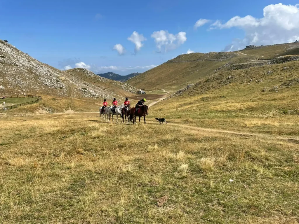 passeggiata a cavallo a Prato Nevoso