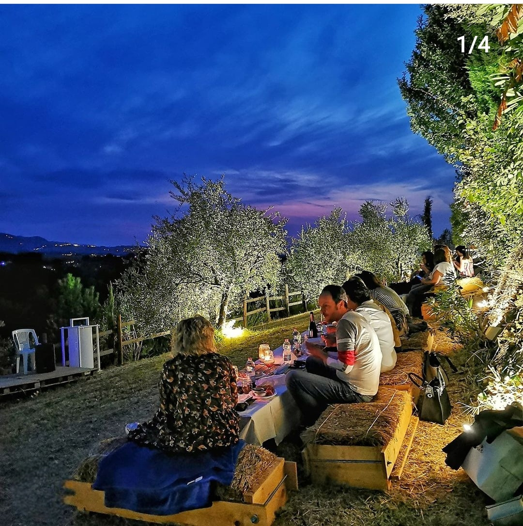 Freedonel Picnic Modena | Starting from €40 | Freedome