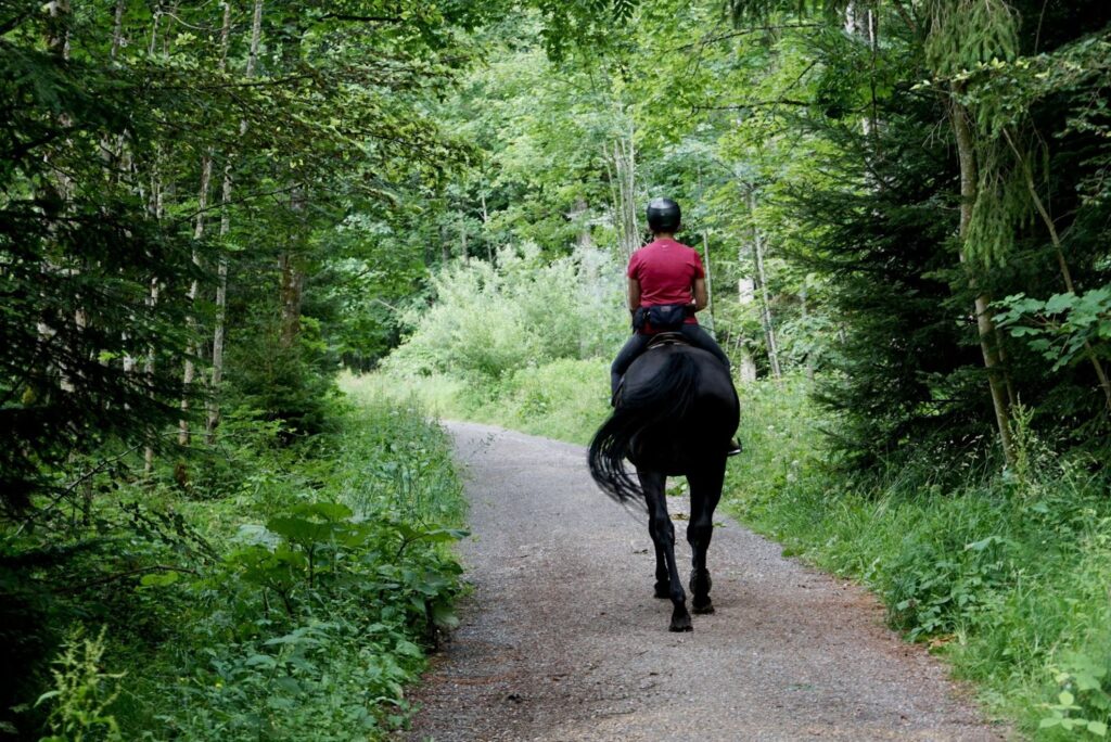donna a cavallo passeggia nella natura