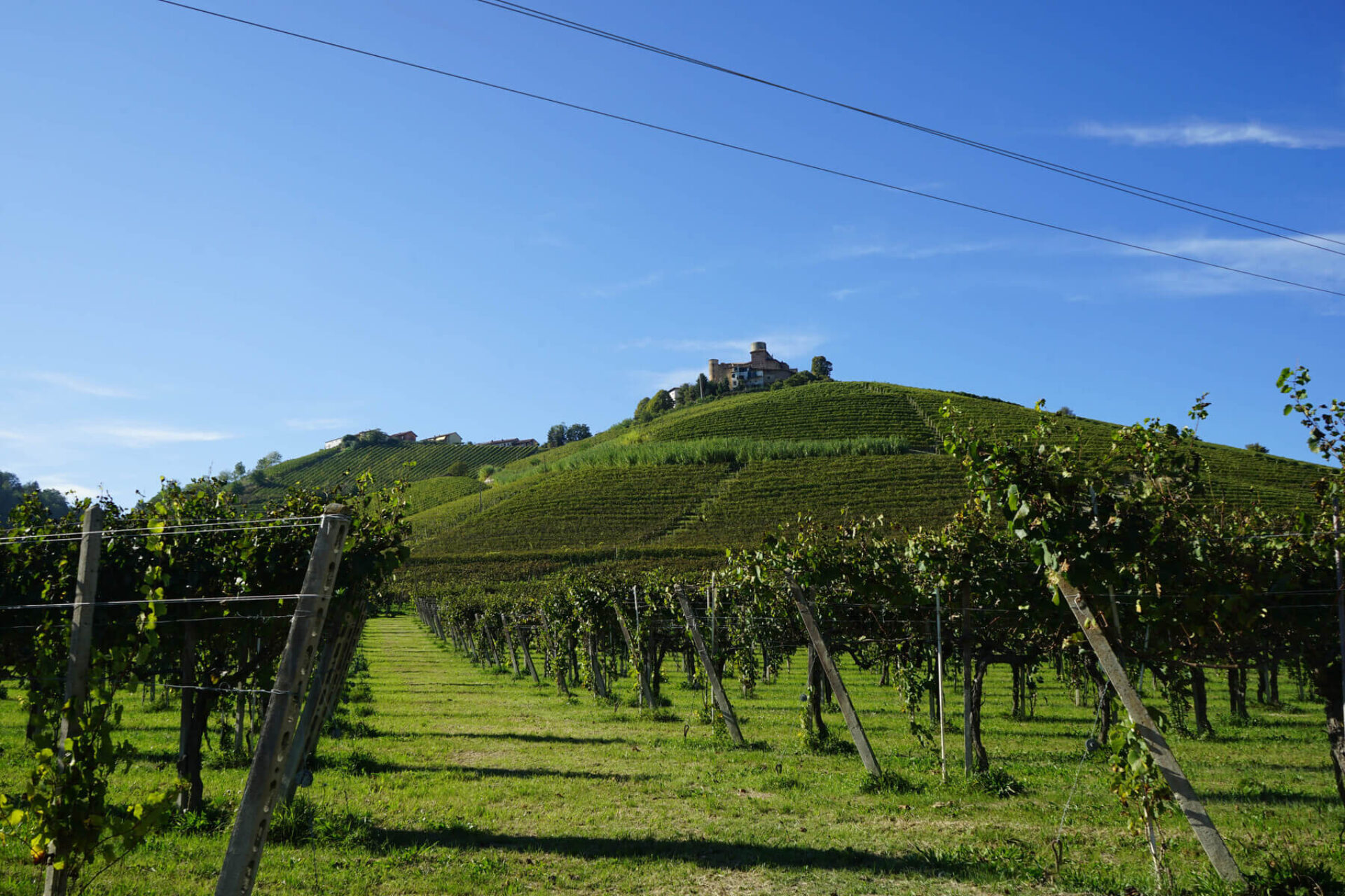 Vigneti delle Langhe con colline verdi e castello sullo sfondo in una giornata di sole in Piemonte