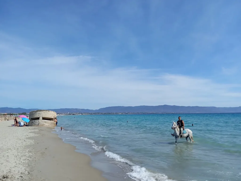 passeggiata a cavallo a Cagliari