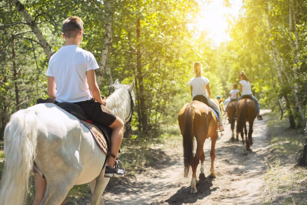 persone a cavallo di spalle in un bosco