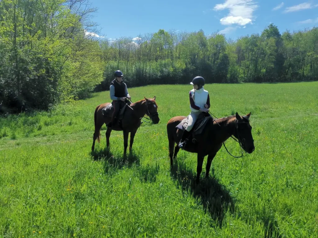 passeggiata a cavallo di coppia