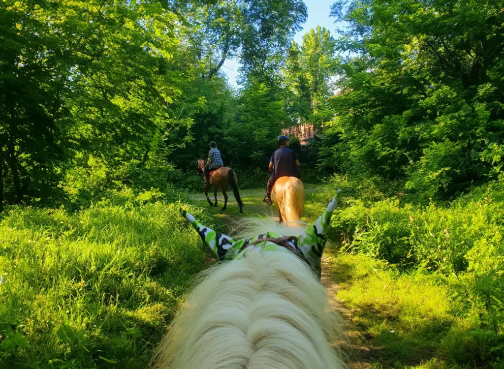 passeggiata a cavallo nel Parco del Ticino