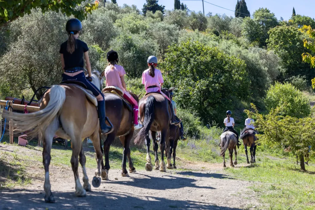 passeggiata a cavallo nel Chianti