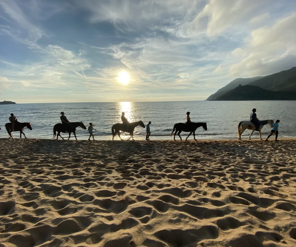 Passeggiata a cavallo al tramonto sulla spiaggia di Porto Ferro, Nord Sardegna