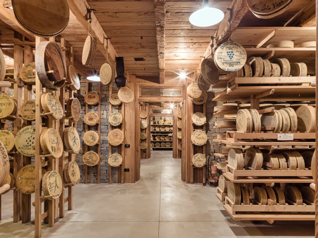 Magazzino di stagionatura con forme di formaggio tipico della Valtellina durante visita a caseificio
