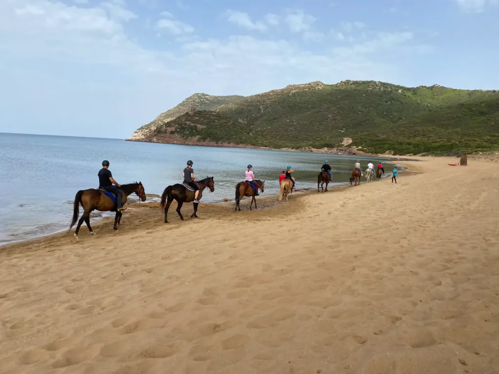 Gruppo a cavallo sulla spiaggia di Porto Ferro al tramonto vicino ad Alghero