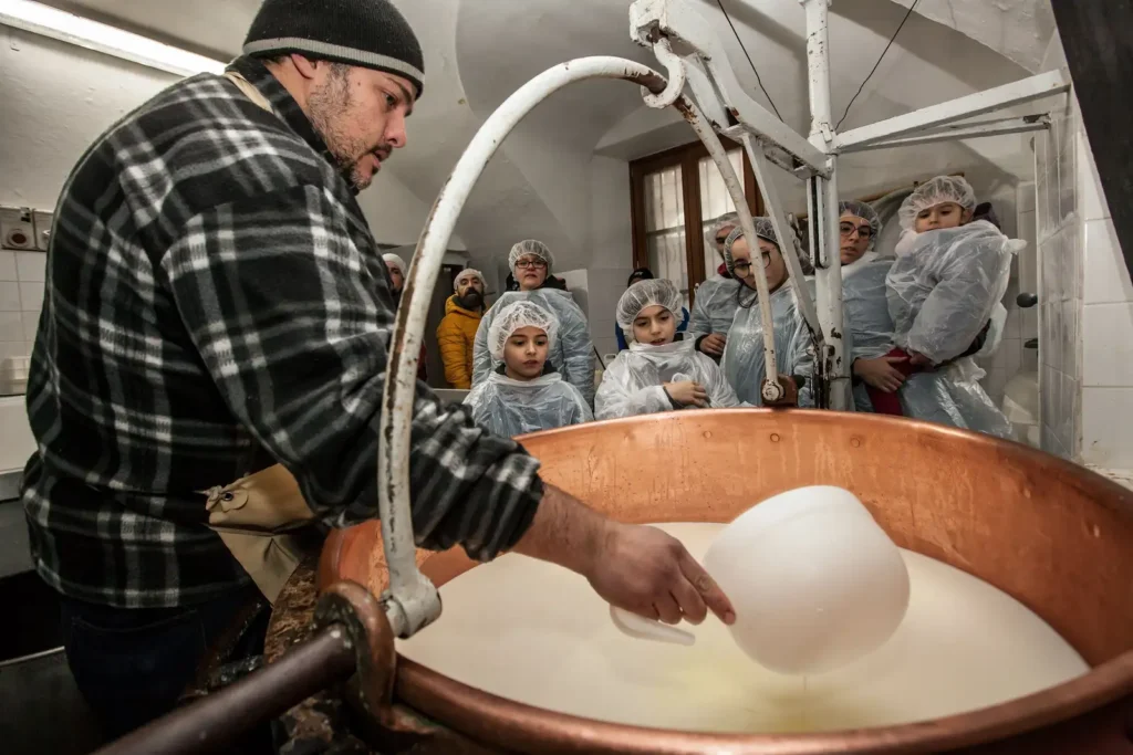 Casaro che lavora la cagliata in un caseificio del Piemonte durante un'esperienza di degustazione formaggi