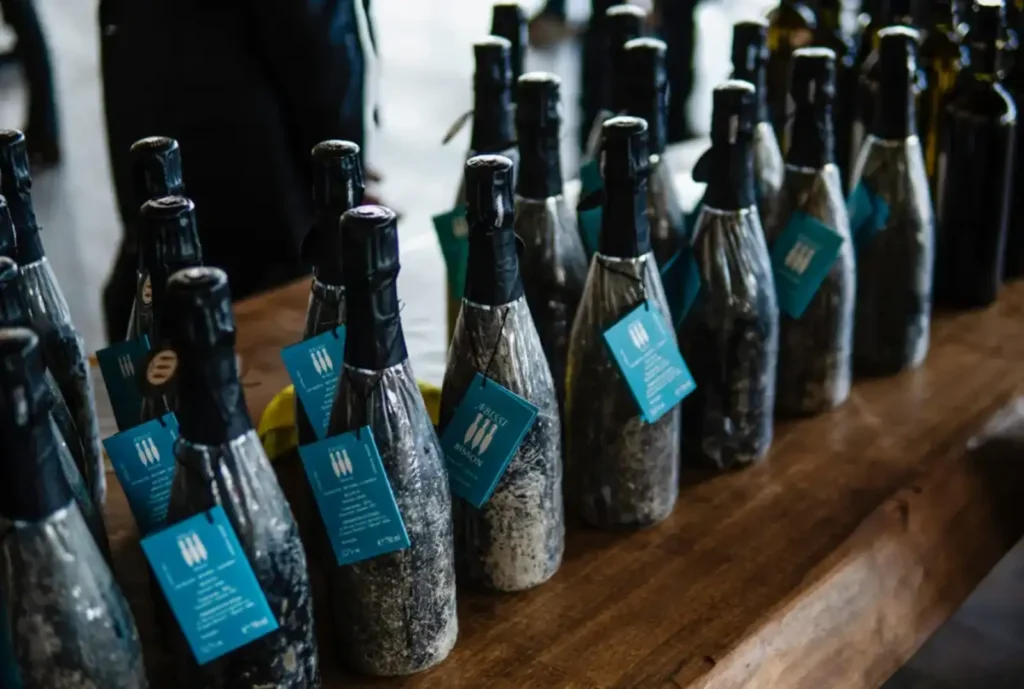 Degustazione vini subacquei nel Golfo del Tigullio bottiglie in mare
