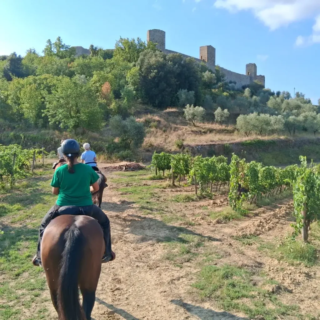 Escursione a cavallo tra vigneti con castello medievale sullo sfondo, Costa degli Etruschi Toscana