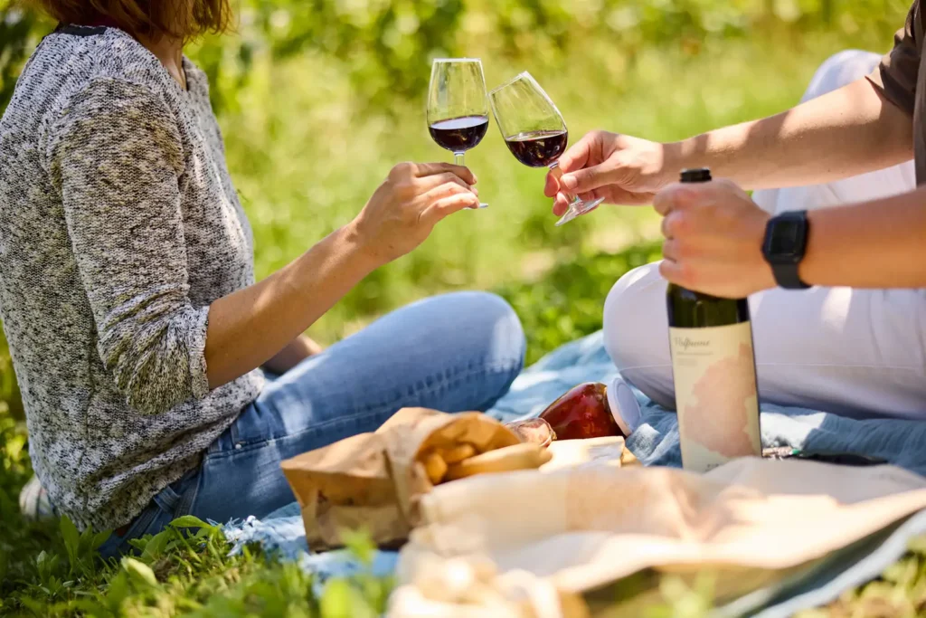 due persone che fanno picnic