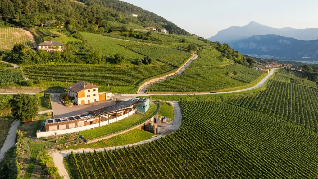 vigneti in Val di Cembra