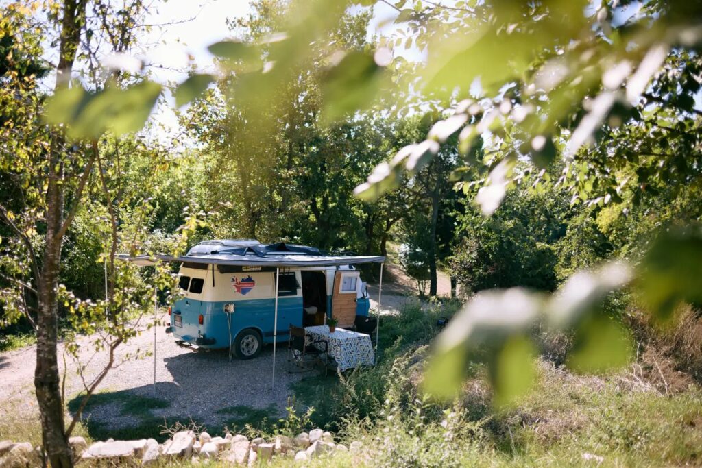 vintage van nella natura