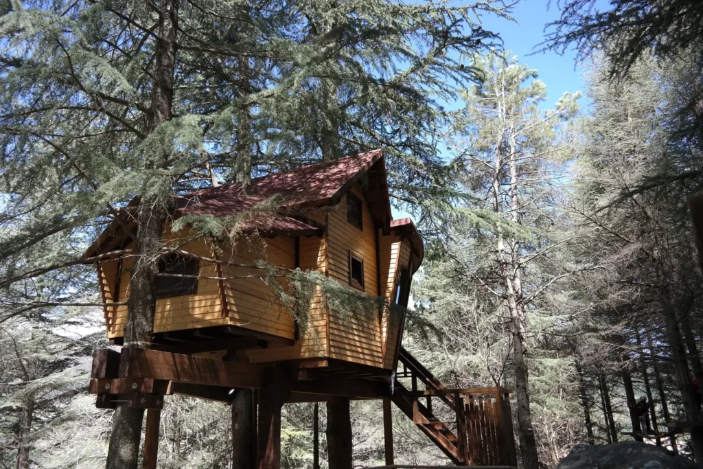 casa sull'albero nel Parco delle Madonie