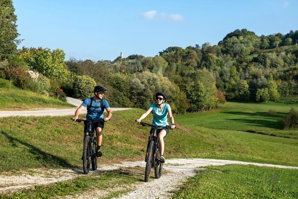 ciclisti su e-bike su prato verde