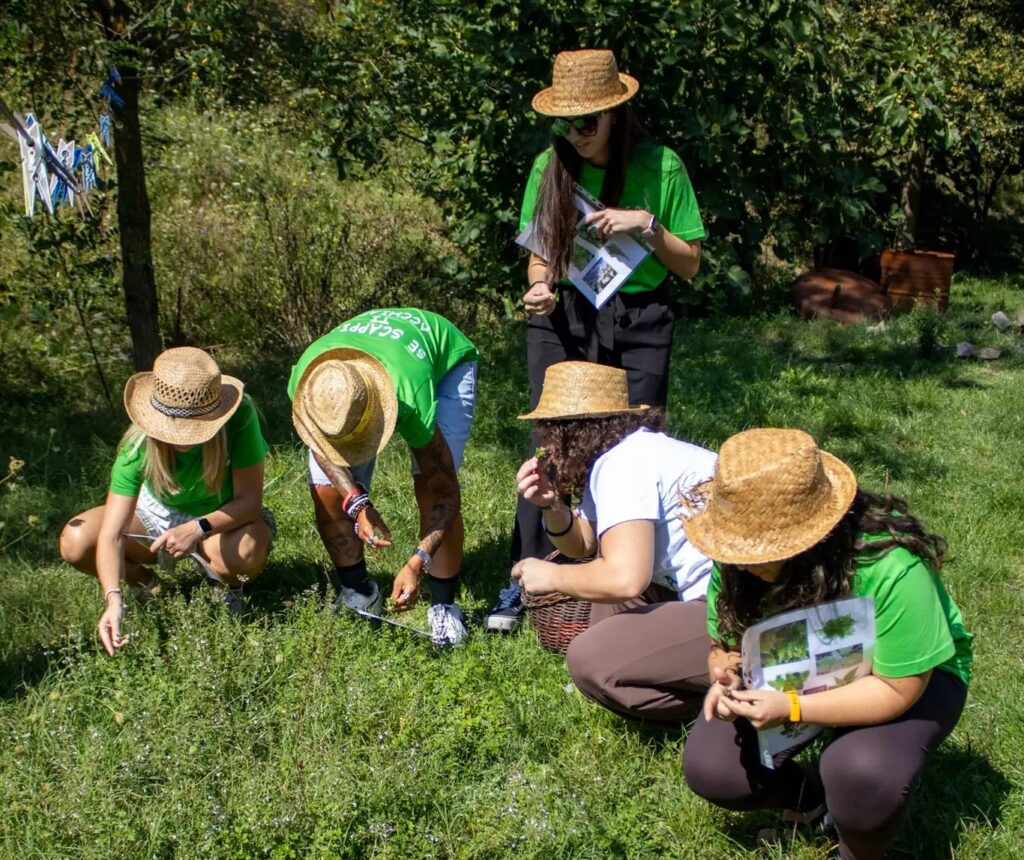 persone-che-raccolgono-erbe-foraging-in-emilia-romagna