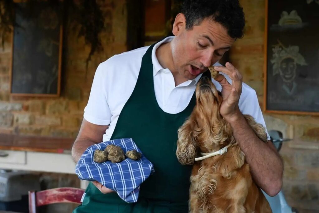 cuoco con cane e tartufi