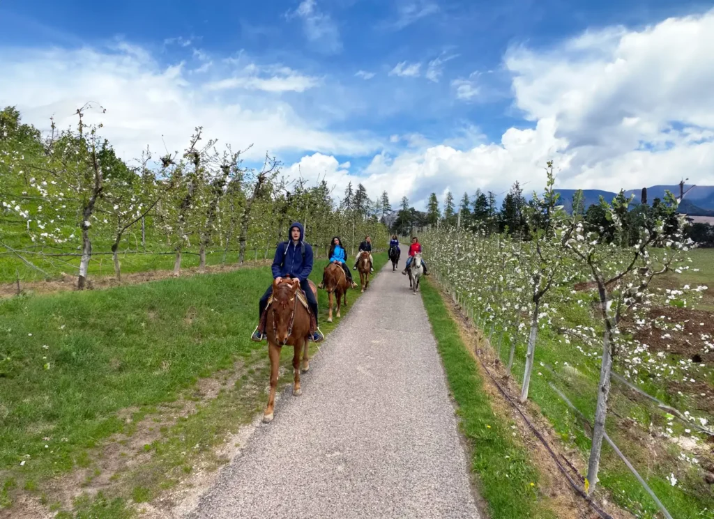 passeggiata a cavallo tra i meleti in Val di Non