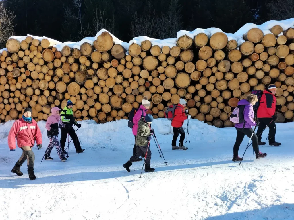 ciaspolata in Val di Fiemme