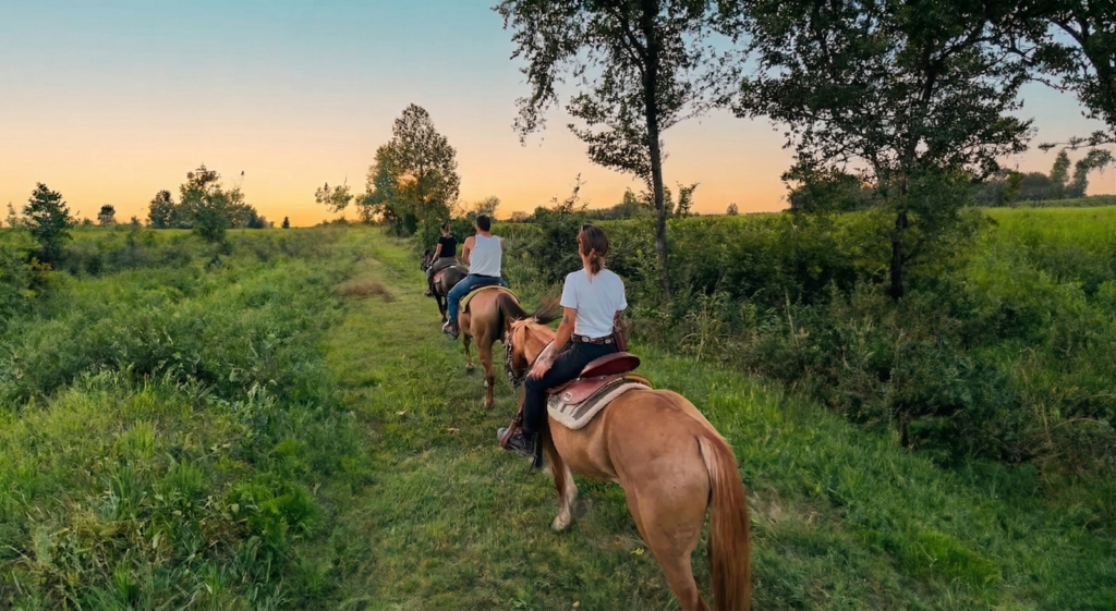 passeggiata a cavallo tra i vigneti del Garda